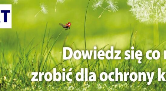 WIKT – Wsparcie działań na rzecz ochrony klimatu w regionie transgranicznym