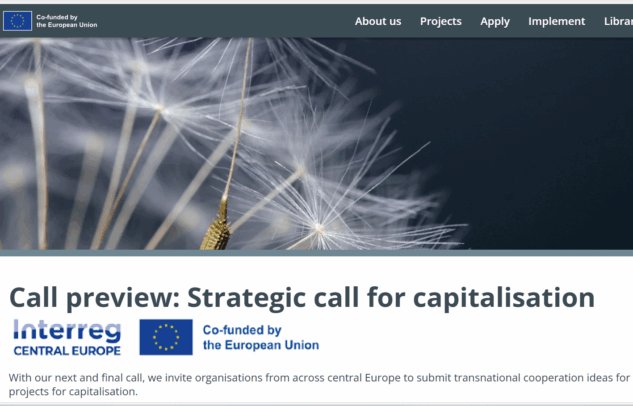 Info-Session zum „Call on Capitalisation“ im Interreg Central Europe Programm, 24.06.2025