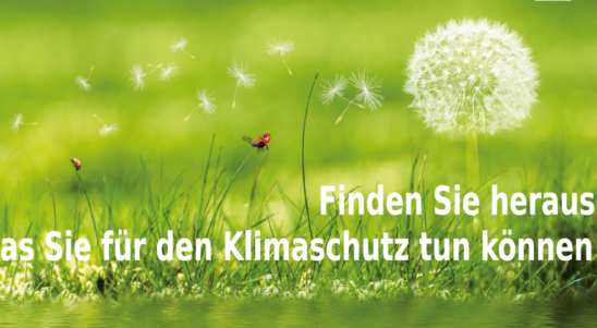 Deutsch-polnisches KLIMA PICKNICK
