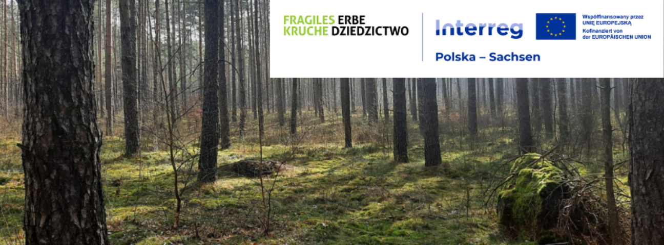 Zdjęcie - LERNEN SIE UNSERE PROJEKTE KENNEN!