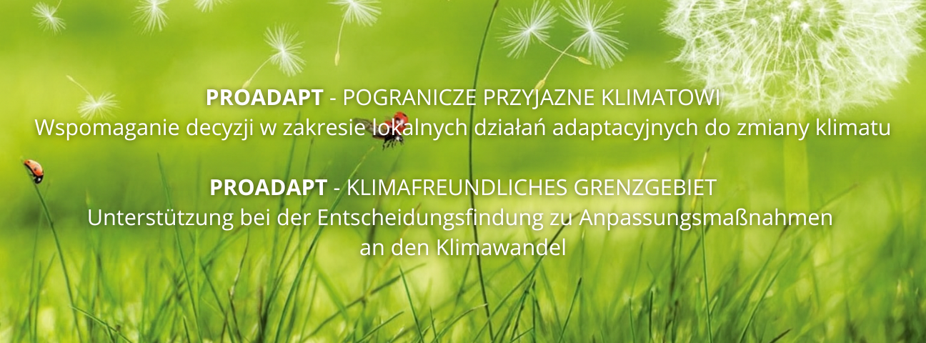 Zdjęcie - LERNEN SIE UNSERE PROJEKTE KENNEN!