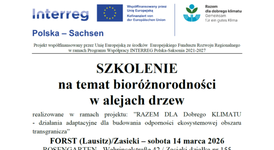 SZKOLENIE na temat bioróżnorodności w alejach drzew