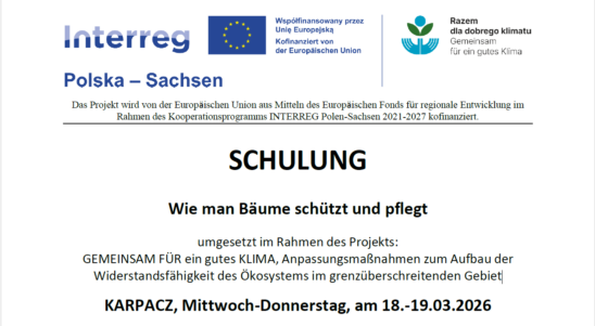 Schulung zum Thema Biodivirsität in Alleen