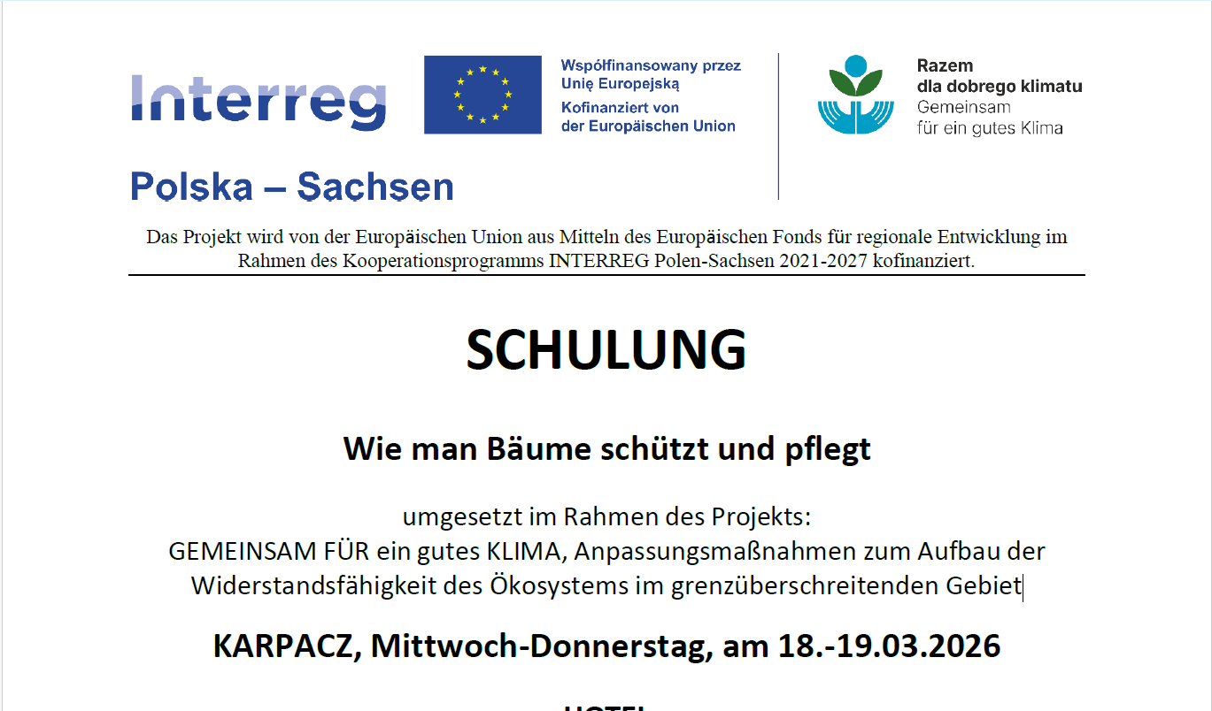 Schulung: Wie man Bäume schützt und pflegt