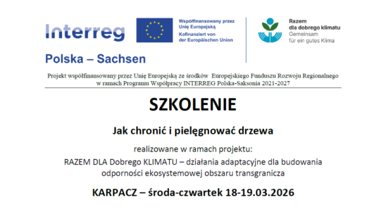 Szkolenie: jak chronić i pielęgnować drzewa