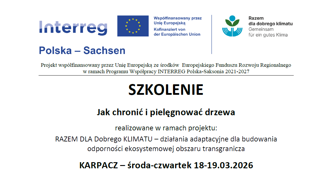 Szkolenie: jak chronić i pielęgnować drzewa