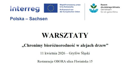 WARSZTATY „Chronimy bioróżnorodność w alejach drzew”