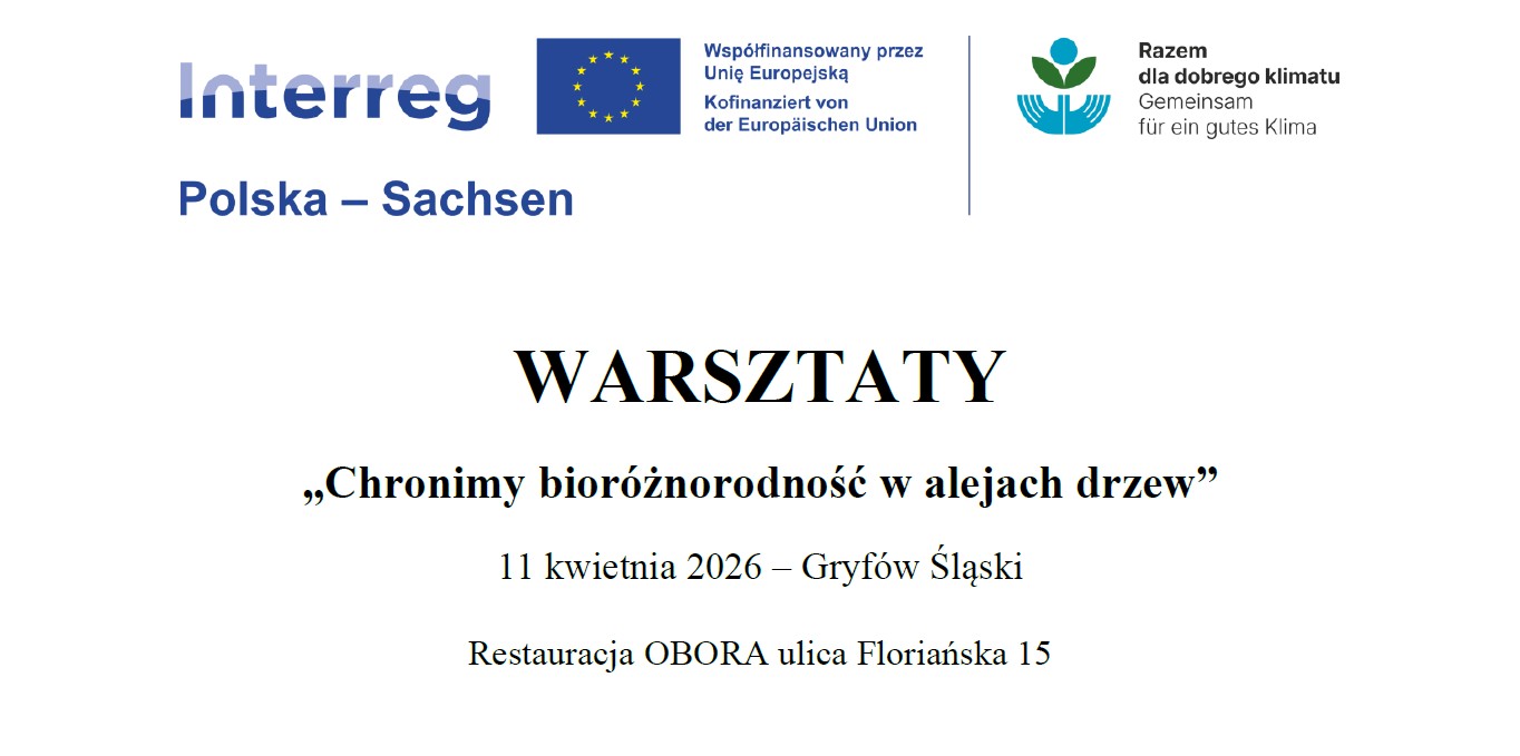 WARSZTATY „Chronimy bioróżnorodność w alejach drzew”