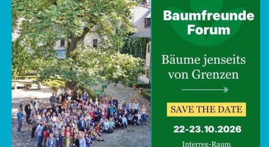 VII. Forum der Baumfreunde „Bäume über Grenzen hinweg” 